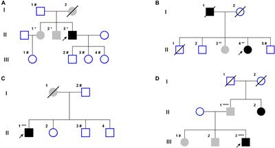 Parkinson’s Disease in Teneurin Transmembrane Protein 4 (TENM4) Mutation Carriers